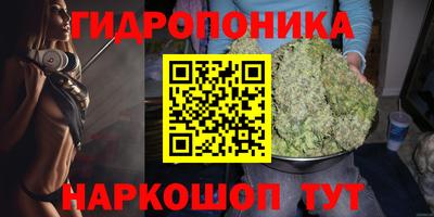 jwh Гусев